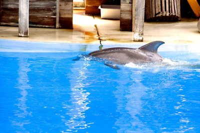 tn_DSC_3675.jpg