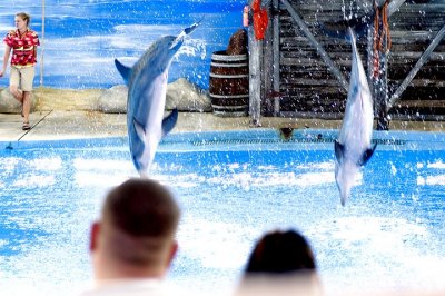 tn_DSC_3678.jpg
