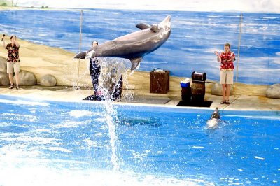 tn_DSC_3679.jpg