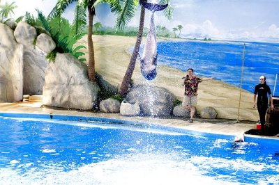 tn_DSC_3681.jpg