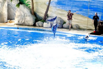 tn_DSC_3682.jpg