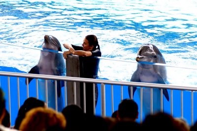 tn_DSC_3688.jpg