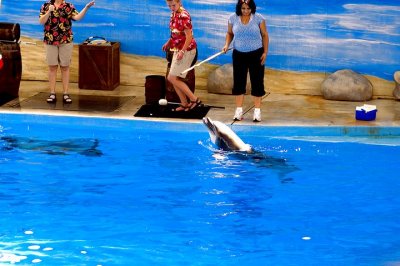tn_DSC_3694.jpg