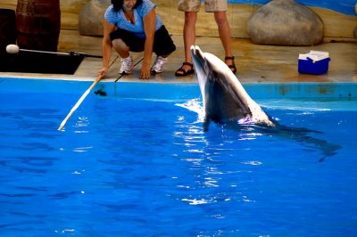 tn_DSC_3695.jpg