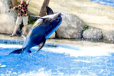 tn_DSC_3701.jpg