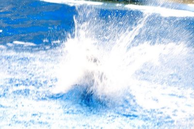 tn_DSC_3702.jpg