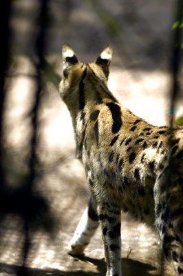 tn_DSC_3727.jpg