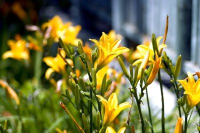 tn_DSC_3730.jpg