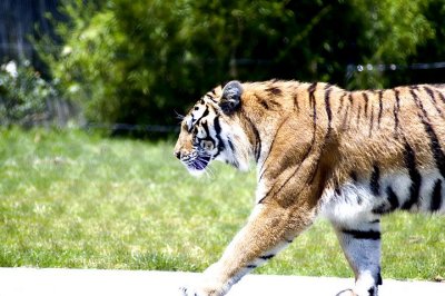 tn_DSC_3735.jpg