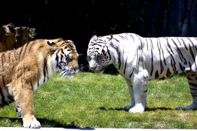 tn_DSC_3744.jpg