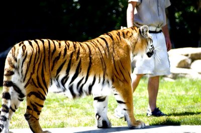 tn_DSC_3745.jpg