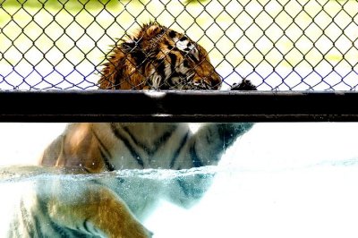 tn_DSC_3754.jpg