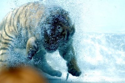 tn_DSC_3757.jpg