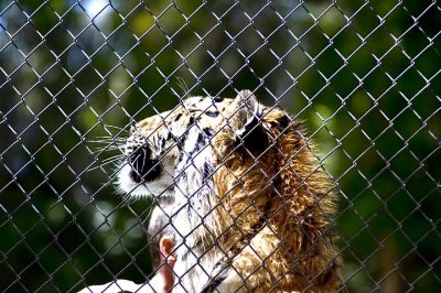 tn_DSC_3758.jpg
