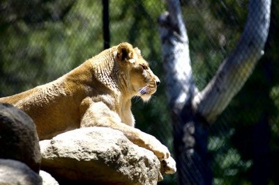 tn_DSC_3763.jpg