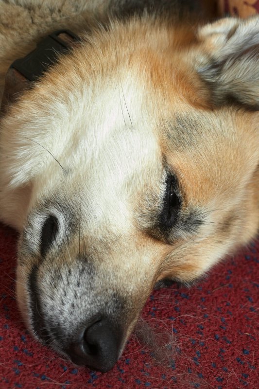 ISO 3200