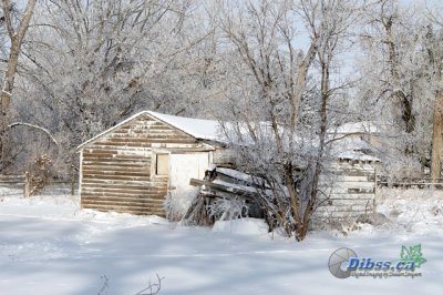 02838_Feb07_30D.jpg