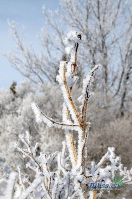 02840_Feb07_30D.jpg
