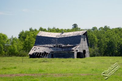 05303_mb_ds.jpg