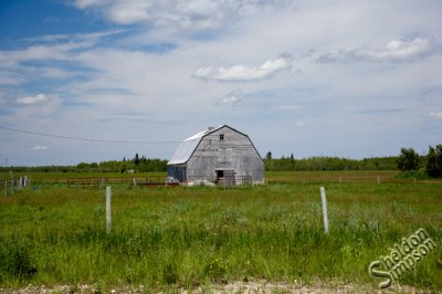 05337_mb_ds.jpg