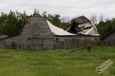 41057_mb_1d.jpg