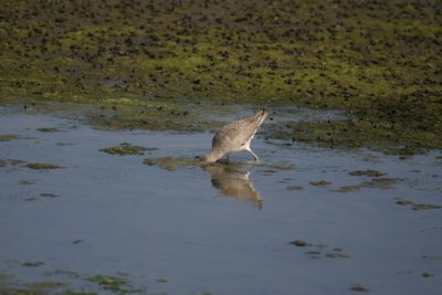 manip_IMG_7181.JPG