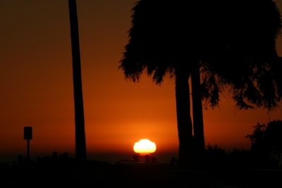 manip_IMG_5649.JPG