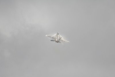 manip_IMG_4689.JPG