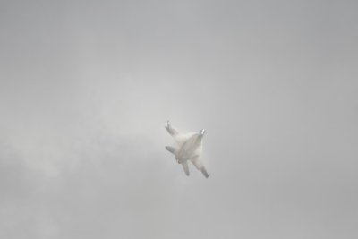 manip_IMG_4690.JPG