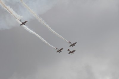 manip_IMG_4979.JPG