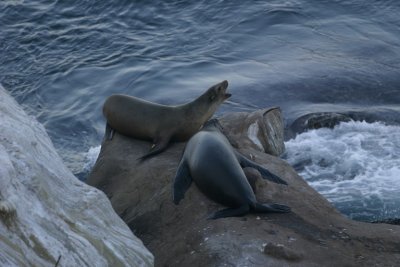 manip_IMG_5467.JPG