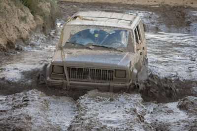 The Swimming Gray Jeep