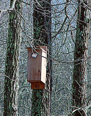 Look What Moved In