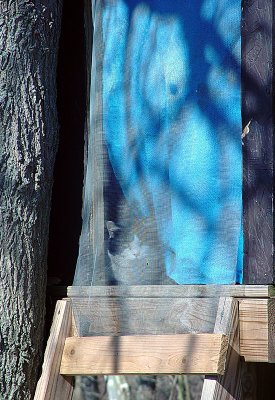 Uninvited Guest