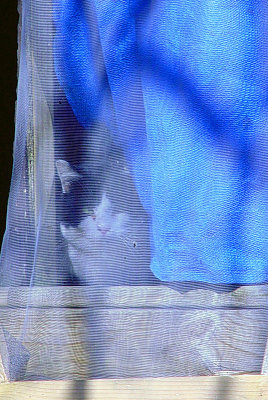 Uninvited Guest