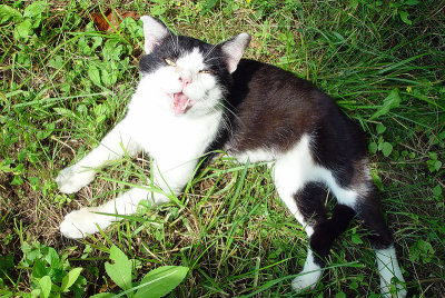 Hey!   Whadda ya got to eat around here?