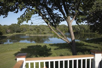 View from the back deck