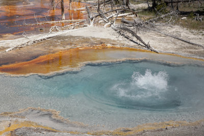 Geyser pool