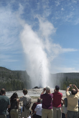 Old faithful