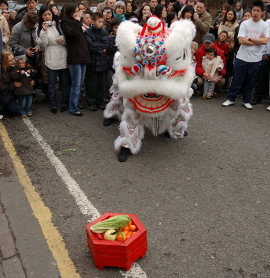 3884 - Chinese New Year - Performers - 4b.jpg