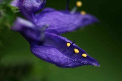 IMG_2142 qge.jpg