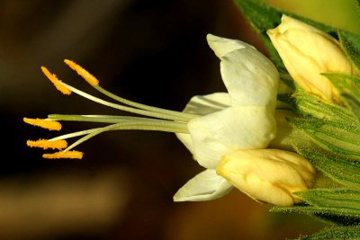 IMG_8693 qge.jpg