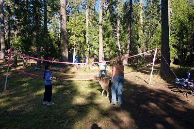 CRW_6928.jpg