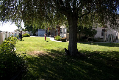 CRW_7296.jpg