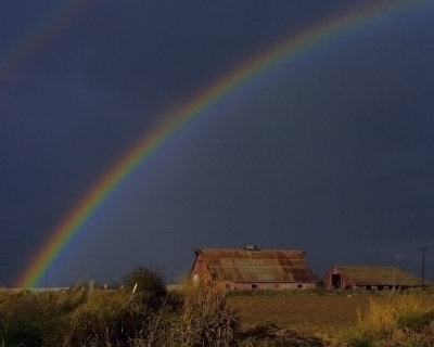 _DSC0102-Farm-Rain-Colors-W.jpg