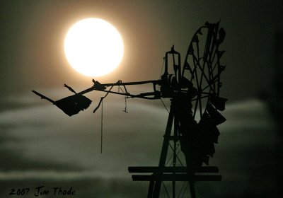 Moonrise (Forest, WA)