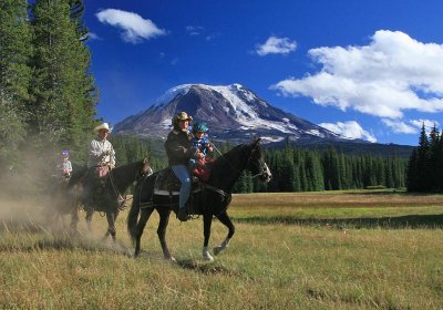 Muddy Meadow/Mt Adams