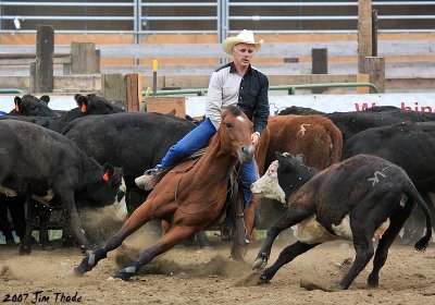 Cow Cutting, bridleless.  Just because.