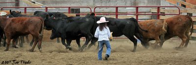 This little cowgirl is heading out to cut a cow from the herd.