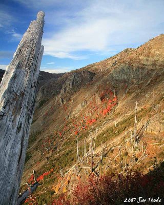 Mt St Helens Blast area